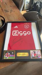 Ajax, Ophalen of Verzenden, Nieuw, Shirt