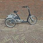 Van Raam Maxi elektrische driewieler, Ophalen, Zo goed als nieuw, Van Raam