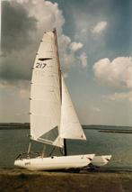 Catamaran Dart Sting (15ft), Watersport en Boten, Catamarans, Gebruikt, Ophalen