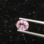 Natuurlijke roze saffier ovaal +1 ct - 7x5 mm, Ophalen of Verzenden, Nieuw
