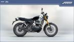 Royal Enfield Bear650 (bj 2025), 2 cilinders, Bedrijf, Onbekend, Royal enfield