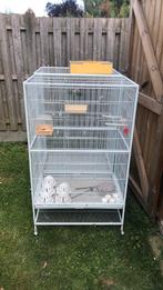 TK 2 mooie kooien voor uw vogeltjes, Dieren en Toebehoren, Ophalen of Verzenden, Gebruikt, Metaal, Vogelkooi