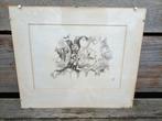 Vintage pentekening. Rozen.  J. Koopmans 1970, Antiek en Kunst, Kunst | Etsen en Gravures, Ophalen
