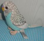 UNI-TOYS knuffel grasparkiet PARKIET blauw ...leuk!, Kinderen en Baby's, Speelgoed | Knuffels en Pluche, Ophalen of Verzenden