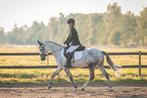 Getalenteerde sportpony Nicki van de Zonnehoeve -7 jaar -, Dieren en Toebehoren, Merrie, Dressuurpony, L, D pony (1.37m tot 1.48m)