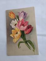 TULPEN. BLOEMEN, Ophalen of Verzenden, Voor 1920, Sterren en Beroemdheden