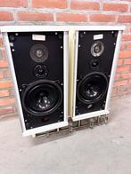 Vintage B&W DM4 Luidsprekers - Klassiek Brits Geluid, Audio, Tv en Foto, Luidsprekers, Ophalen, Gebruikt, 60 tot 120 watt, Bowers & Wilkins (B&W)