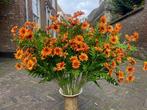 Nieuwe kunstbloemen/ kunsttak/ kunstboeket, Binnen, Info@rodebeagle.nl, Rode Beagle Kunstbloemen, Nieuw