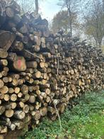 hardhout brandhout stammen 2 m te koop, Tuin en Terras, Haardhout, 6 m³ of meer, Ophalen of Verzenden, Beukenhout, Stammen