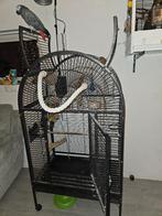 Gratia Papegaaien kooi en zitstok, Dieren en Toebehoren, Vogels | Hokken en Kooien, Ophalen, Zo goed als nieuw, Metaal, Vogelkooi