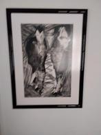 Chisotango Ets, Antiek en Kunst, Kunst | Tekeningen en Foto's, Ophalen of Verzenden