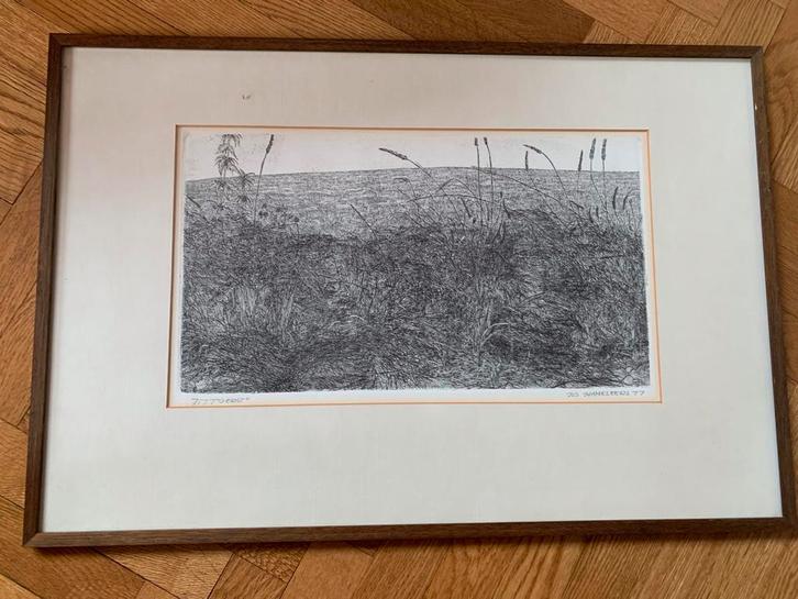 Jos Hameleers - Ets "Gerst" 1977 - Ingelijst, Antiek en Kunst, Kunst | Etsen en Gravures, Ophalen of Verzenden