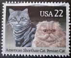 Usa 71 katten, Ophalen of Verzenden, Dier of Natuur