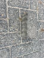 Gekartelde klinkers, Ophalen of Verzenden, Zo goed als nieuw, Beton, Klinkers