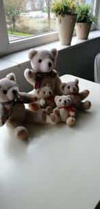 Beren family nieuw.   5 stuks, Verzamelen, Beren en Cherished Teddies, Ophalen, Zo goed als nieuw, Stoffen beer, Overige merken