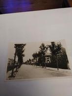 MIDDELHARNIS.  HOFLAAN, Ophalen of Verzenden, Voor 1920, Zuid-Holland