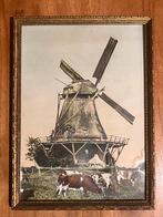Azewijn. De Molen van Berntsen. In lijst., Antiek en Kunst, Kunst | Tekeningen en Foto's, Ophalen of Verzenden