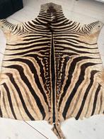 Unieke Zebra Huid - Zuid Afrikaans Ras, Huis en Inrichting, Gebruikt, 100 tot 150 cm, Wit, 200 cm of meer