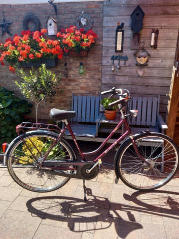 Nette 28" Gazelle Primeur met 3 versnellingen  beschikbaar voor biedingen