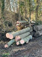 Haardhout voor winter 2026 / 2027 ??, 6 m³ of meer, Ophalen of Verzenden