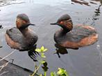 Geoorde futen onverwant broed  2025, Meerdere dieren, Overige soorten