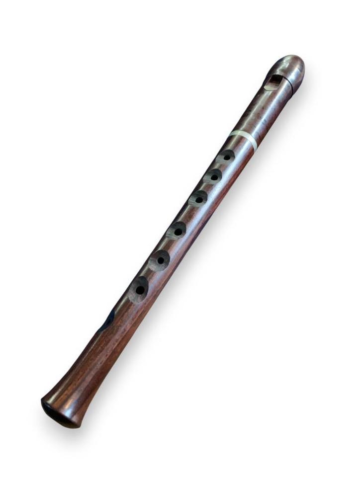 Alcando Vivo blokfluit, Muziek en Instrumenten, Blaasinstrumenten | Blokfluiten, Gebruikt, Sopraan of Sopranino, Kunststof, Ophalen of Verzenden