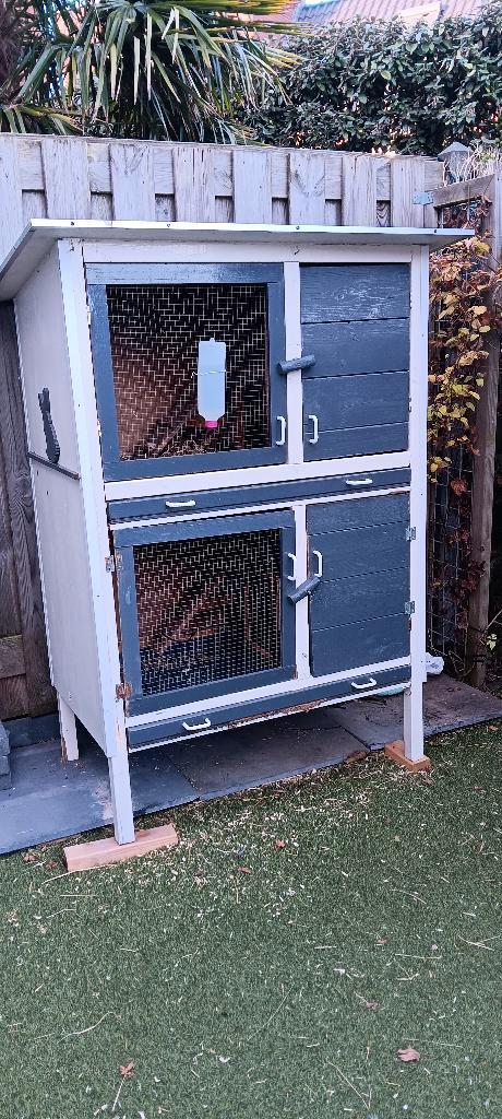 Konijnenhok, incl accessoires., Dieren en Toebehoren, Konijnen, Groot, Vrouwelijk, 3 tot 5 jaar