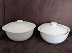 Te koop 2 zgan vivo schalen met deksel, Ophalen of Verzenden, Zo goed als nieuw, Overige materialen, Overige typen