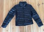 Jas / Puffer Jack Faith Connexion - Zwart Dons - Maat Medium, Ophalen of Verzenden, Zo goed als nieuw, Maat 38/40 (M), Zwart