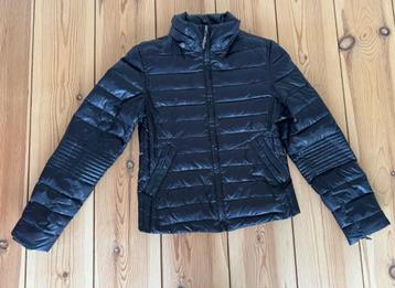 Jas / Puffer Jack Faith Connexion - Zwart Dons - Maat Medium beschikbaar voor biedingen
