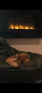 Moderne sfeerhaard, Ophalen, Elektrisch, Zo goed als nieuw, Hangend