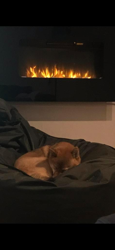 Moderne sfeerhaard, Huis en Inrichting, Kachels, Zo goed als nieuw, Hangend, Bio-ethanolhaard, Elektrisch, Ophalen