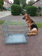 Hondenbench voor kleine honden of pup, Ophalen
