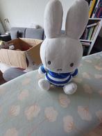 nijntje knuffel  en  gewone knuffel, Ophalen of Verzenden, Gebruikt, Overige typen