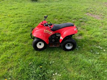 Eton Rascal & Viper Jr 40cc kinderquad mini quad