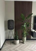 Akoestische wandpanelen. Nu met korting!, Huis en Inrichting, Ophalen, Nieuw