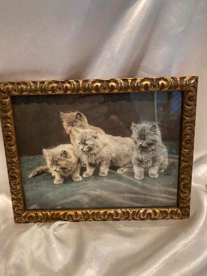 Oude prent: Met z'n vieren, Antiek en Kunst, Kunst | Tekeningen en Foto's, Ophalen of Verzenden