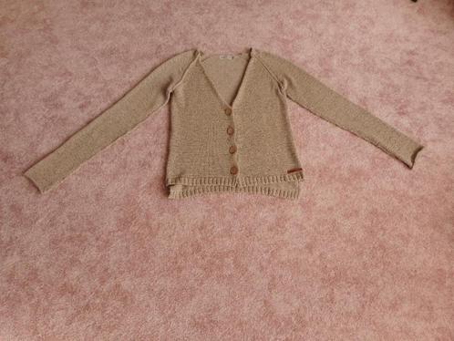 Leuke vestje Moscow maat M, Kleding | Dames, Truien en Vesten, Zo goed als nieuw, Maat 38/40 (M), Overige kleuren, Ophalen of Verzenden