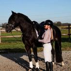 Exclusieve zwarte PRE, Oogverblindend knap, fijn te rijden, Dieren en Toebehoren, Paarden, Met stamboom, Dressuurpaard, Hengst