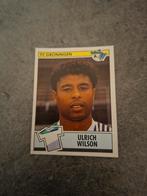 Panini sticker Voetbal 91. Speler Ulrich Wilson FC Groningen, Verzenden, Zo goed als nieuw, Sticker