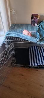 Grote hondenbench, Dieren en Toebehoren, Ophalen of Verzenden, Zo goed als nieuw