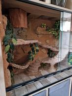 Terrarium, Dieren en Toebehoren, Ophalen