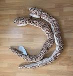 DJUNGELSKOG Handpop Slang - Burmese Python, Ophalen of Verzenden, Zo goed als nieuw, Overige typen