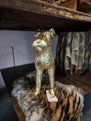 Goudkleurig Decoratief hond terriër 38x30 cm beschikbaar voor biedingen
