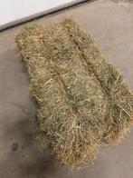 Goede kwaliteit hooi pakjes voor sport paarden met analyse, Ophalen of Verzenden, Vee