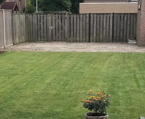 Schutting incl poort, Tuin en Terras, Schuttingen, Gebruikt, Hout, Minder dan 3 meter, Ophalen