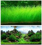 Aquarium gras hoog voor aquascaping [Box A - 105, 106, 107], Ophalen, Nieuw, Plant(en), Steen of Hout