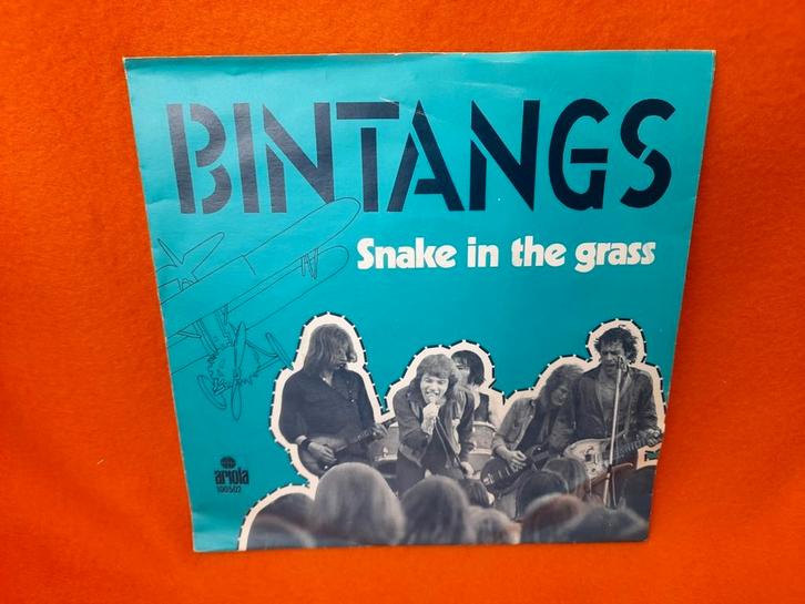 Bintangs - Snake in the grass (1979), Cd's en Dvd's, Vinyl Singles, Gebruikt, Single, Jazz en Blues, 7 inch, Ophalen of Verzenden