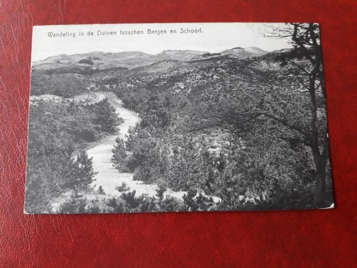 Wandeling in de Duinen tussen Bergen en Schoorl (187), Verzamelen, Ansichtkaarten | Nederland, Ongelopen, Noord-Holland, 1920 tot 1940