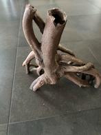 Mangrove wortel groot voor aquarium, Ophalen of Verzenden, Gebruikt